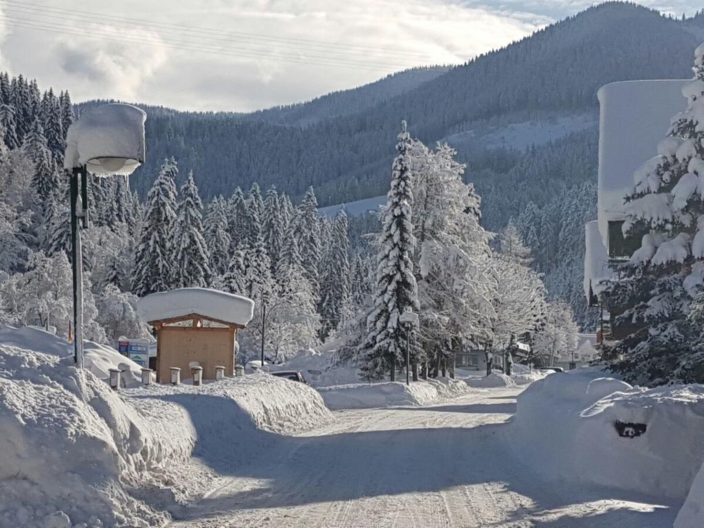 فندق Pension Haus Rohrmoser Lungötz المظهر الخارجي الصورة