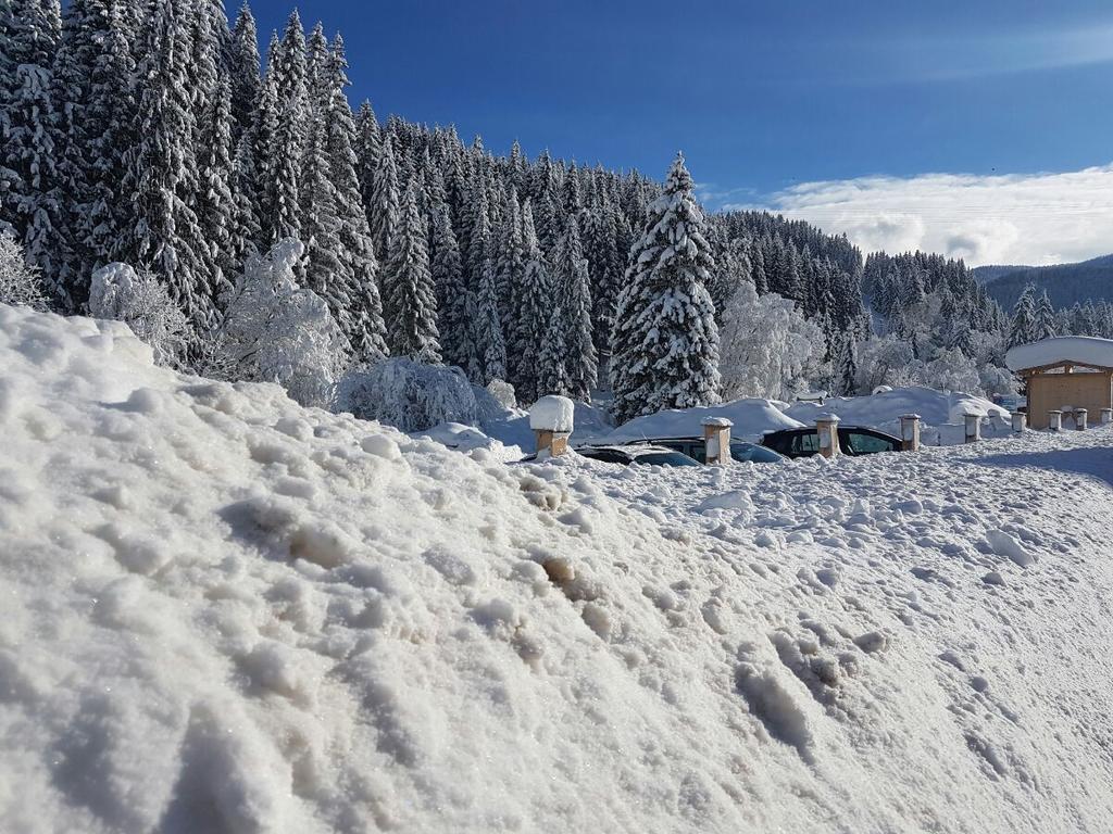 فندق Pension Haus Rohrmoser Lungötz المظهر الخارجي الصورة